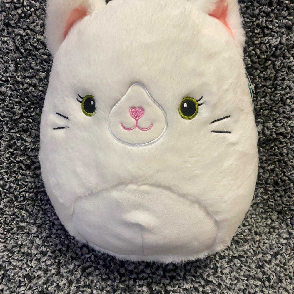 Kelsey the Fuzzy White Persian Cat